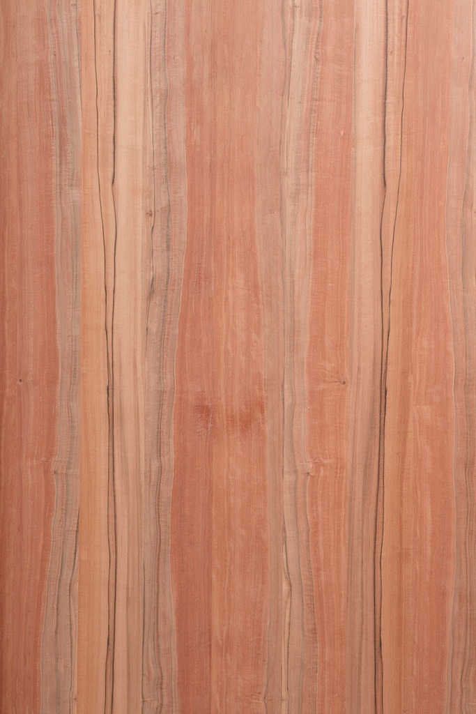 -Tineo (indisch appelhout)