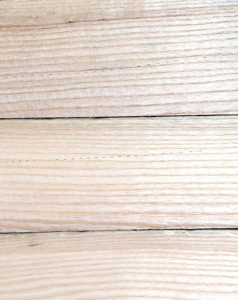 European ash