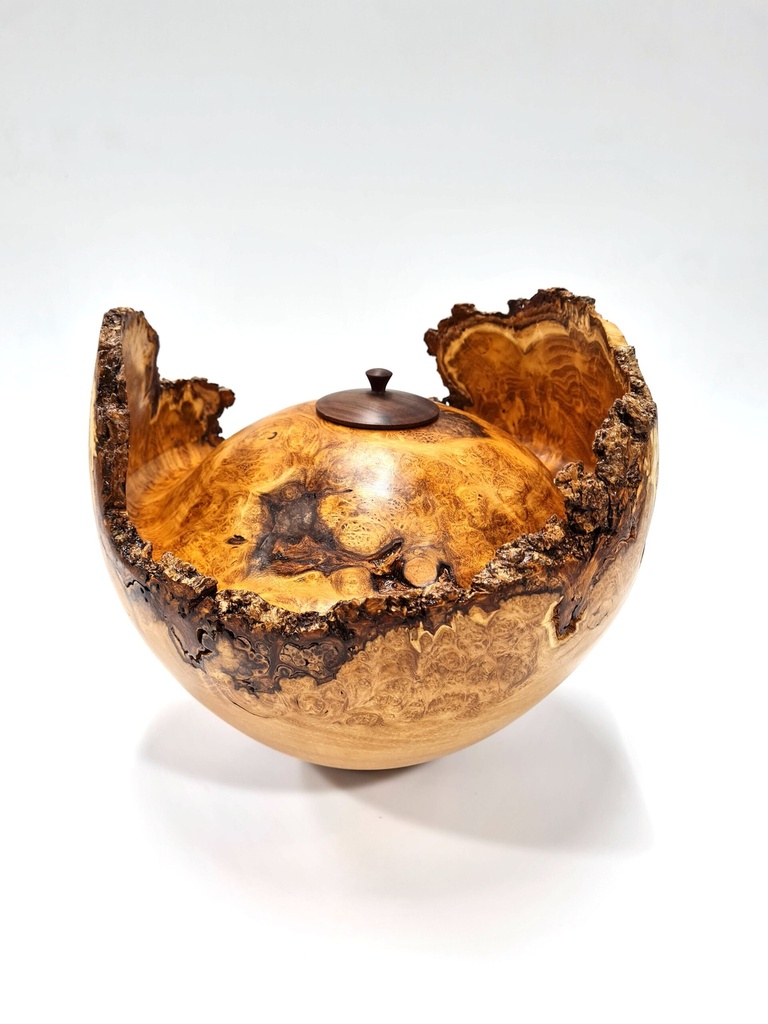 Masterclass Woodturning 2026/2027